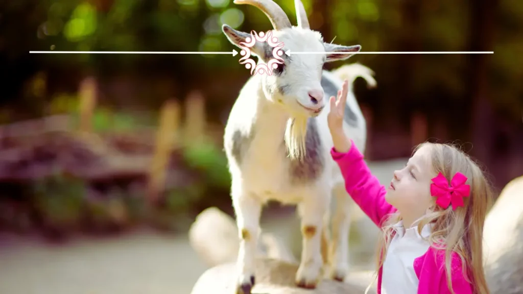 Petting zoos in Wisconsin