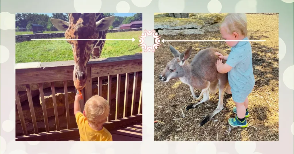 Family friendly attractions in Wisconsin Dells