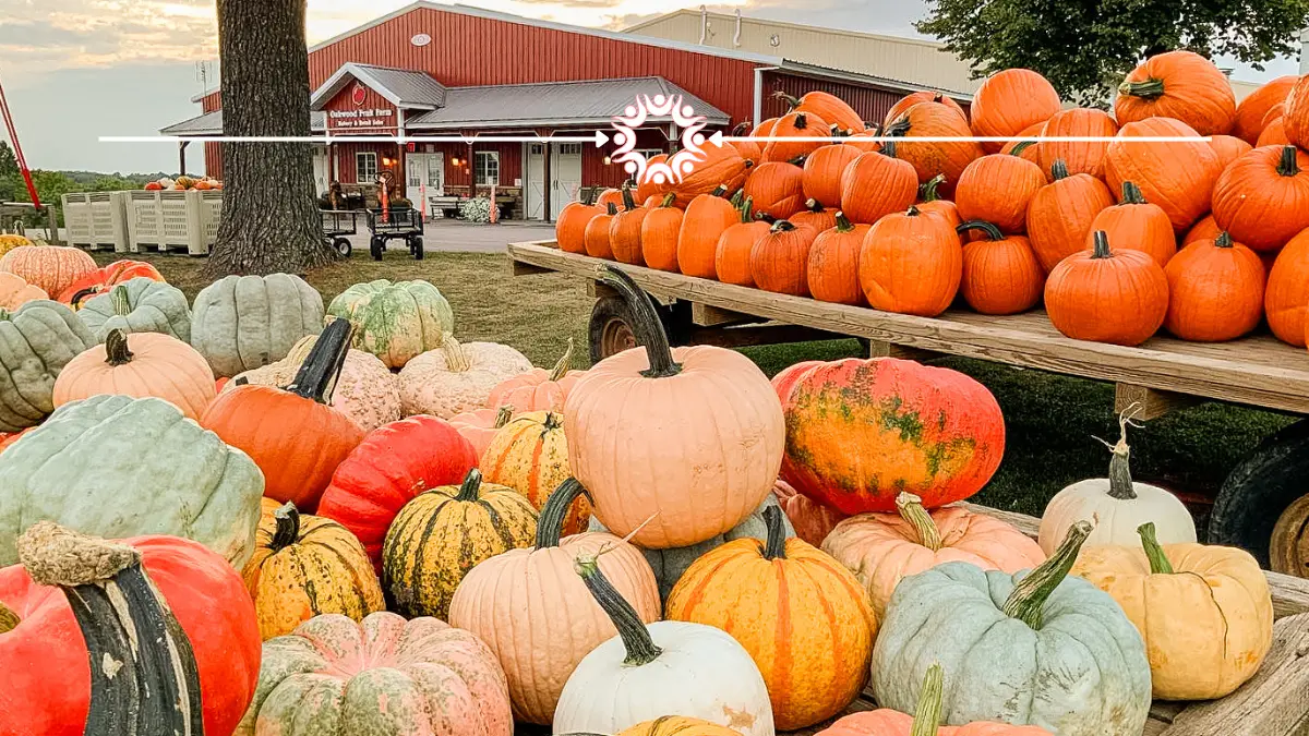 Pumpkin Patches in the greater Baraboo area
