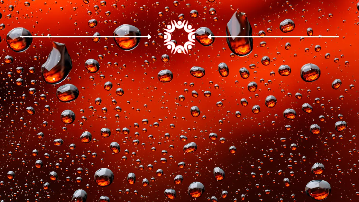 Coca Cola Holiday Caravan article