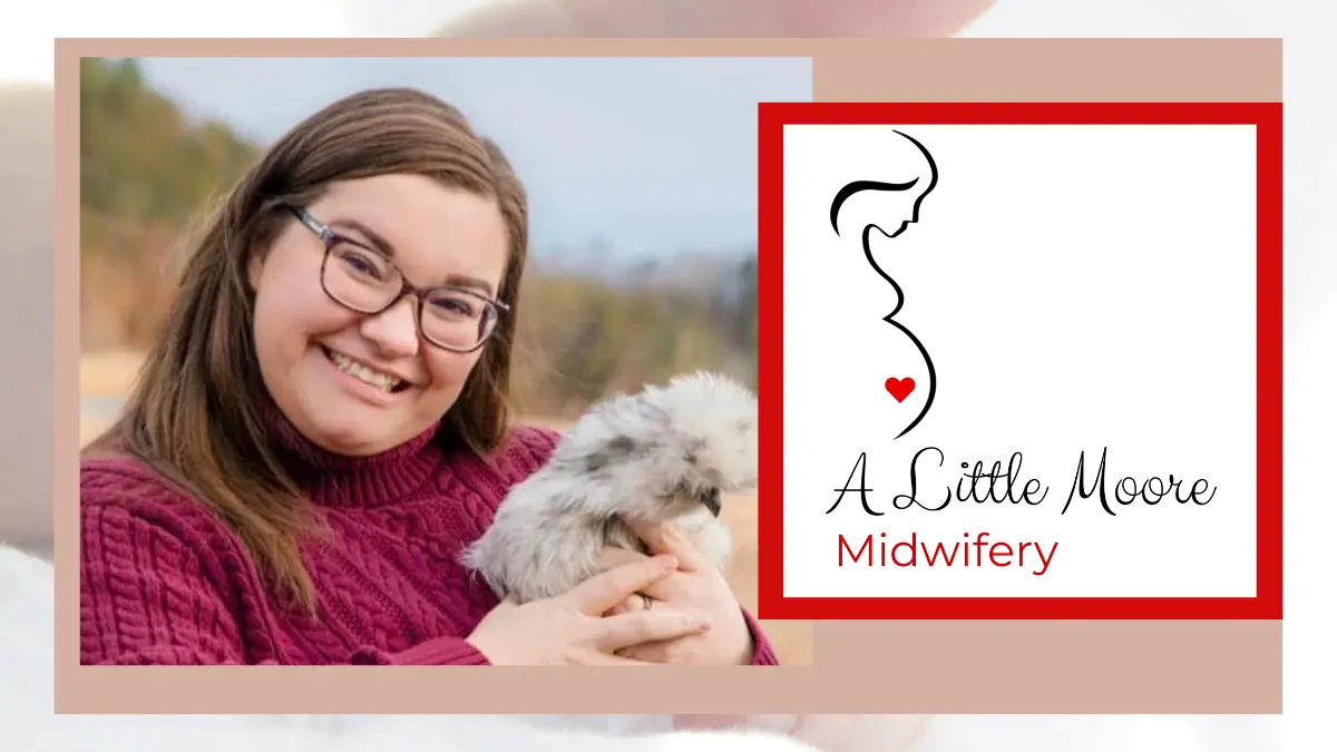 Midwifery services in Sauk County WI