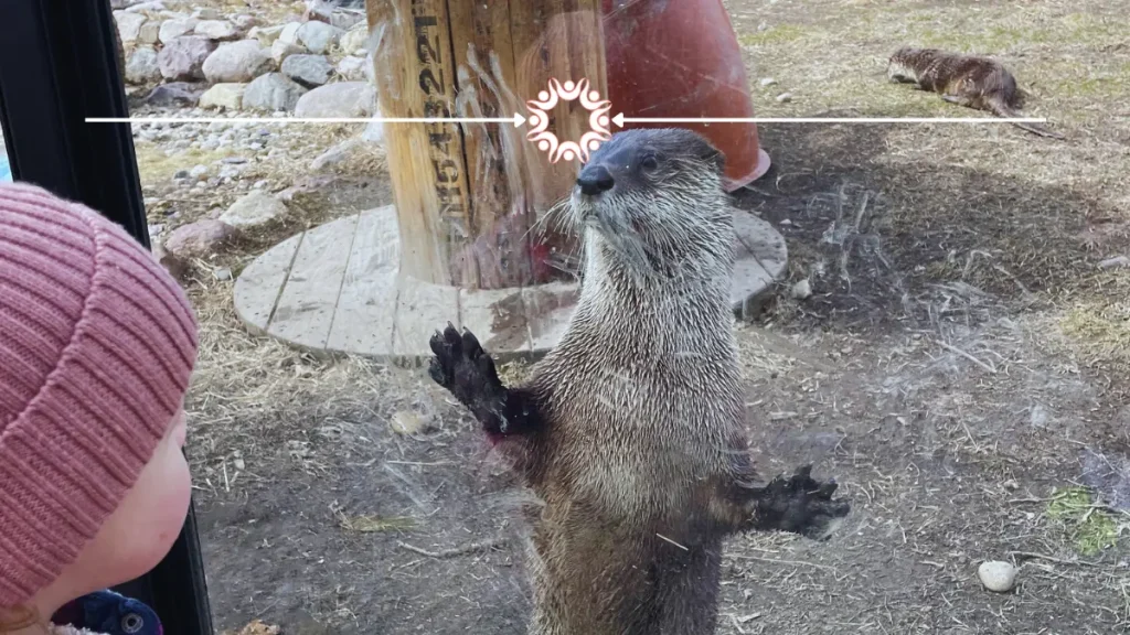 Ochsner Park Zoo in Baraboo, WI