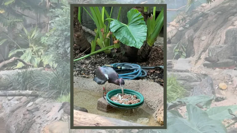 Visiting Milwaukee County Zoo