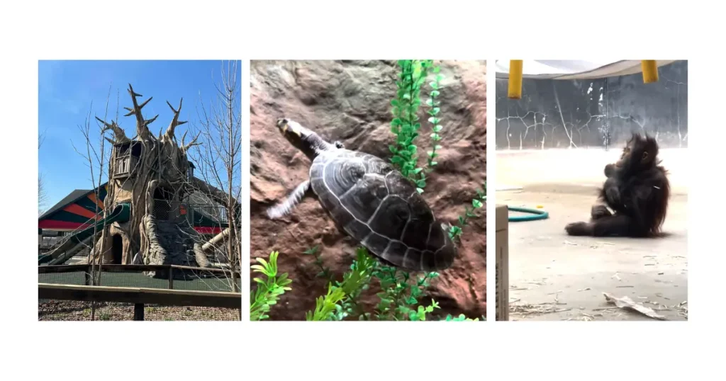 Kid favorites at Henry Vilas