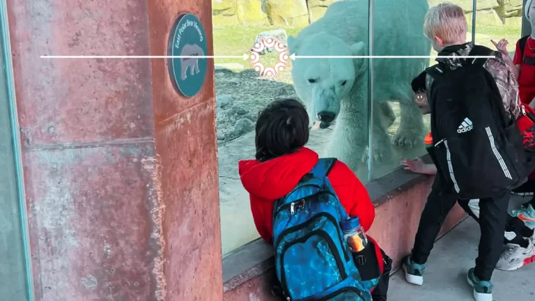 Visiting the Henry Vilas Zoo in Madison, WI