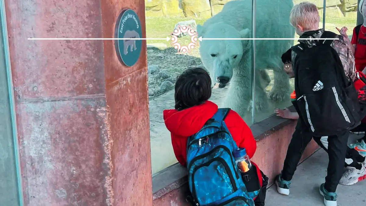 Visiting the Henry Vilas Zoo in Madison, WI