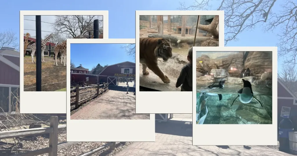 Milwaukee Zoo animals