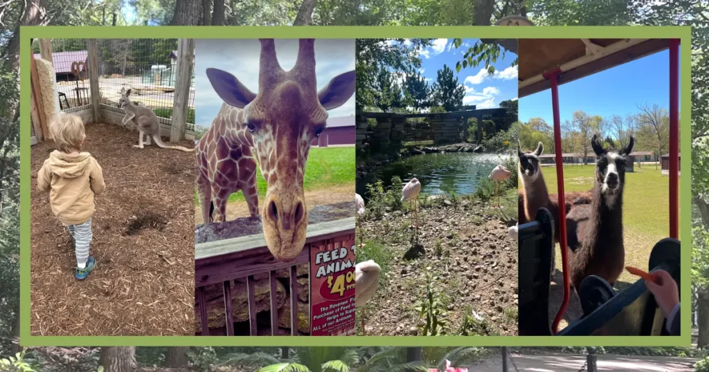 Timbavati Wildlife Park WI Dells collage