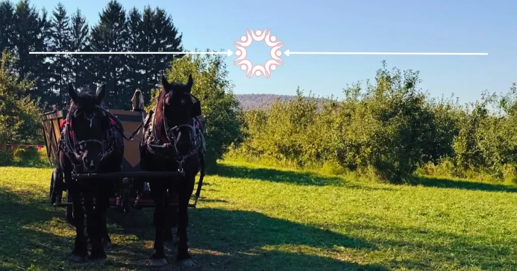 Horse drawn wagon Ski Hi